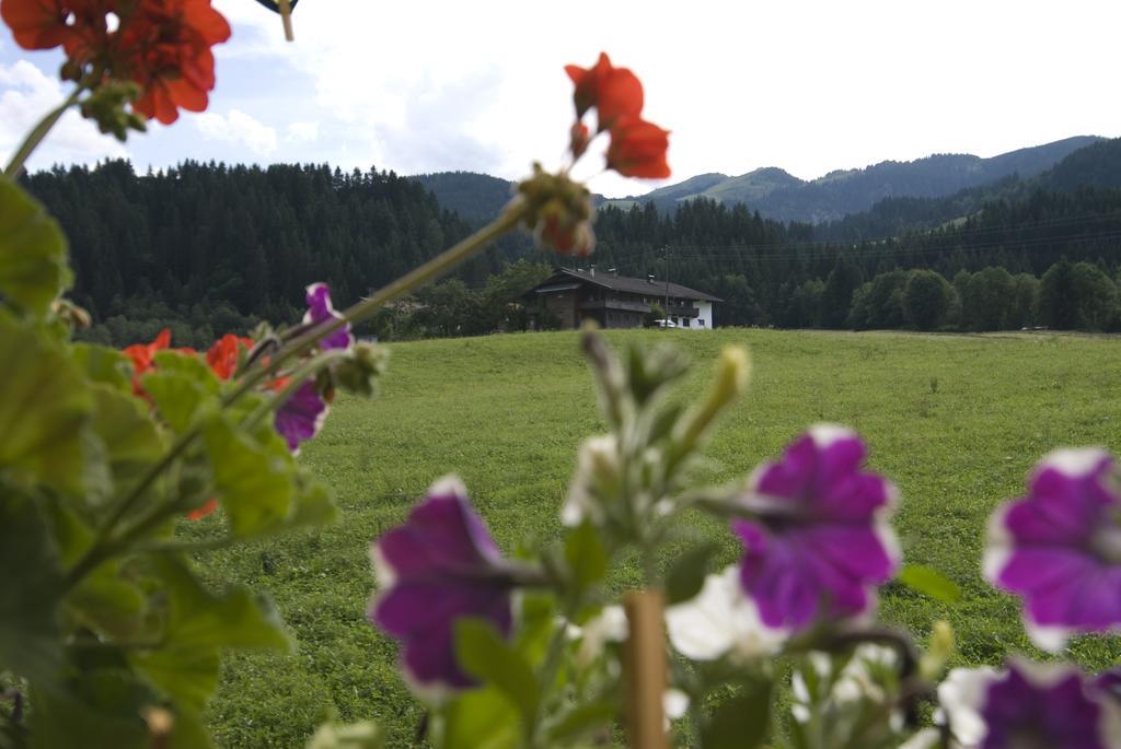 Haus Schatzbergblick Oberau Extérieur photo